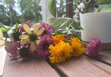 Load image into Gallery viewer, Marigold Seeds